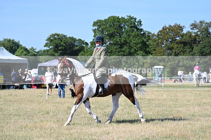 WJ7_3277 - Class 8 Ridden Tack & Turnout