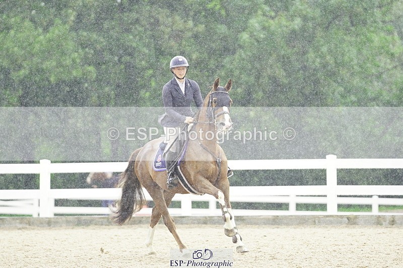 230729A-101132-04590 - Cls 20 British Novice & 90cm Open