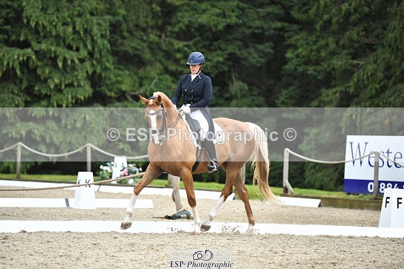 230812-144004-04763 - Cls 7 FEI PSG Bronze