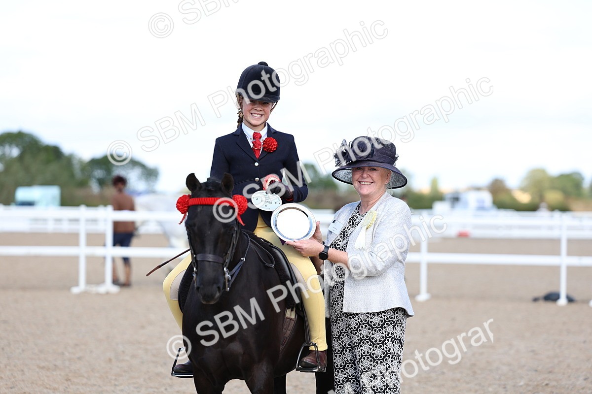 SBM_13345 - Class 311 - Ridden Show Pony Show Hunter Pony