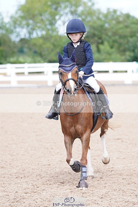 240809A-114200-00810 - Showjumping Competition