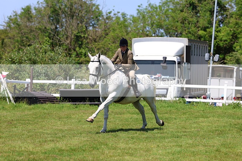 3E7A8374 - Class 13: Ridden Hunter
