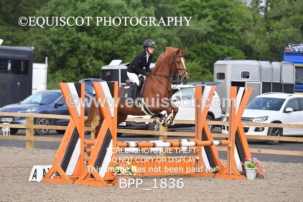 BPP_1836 - SAT CLASS 9 Club/ Unaffiliated 80cms Open