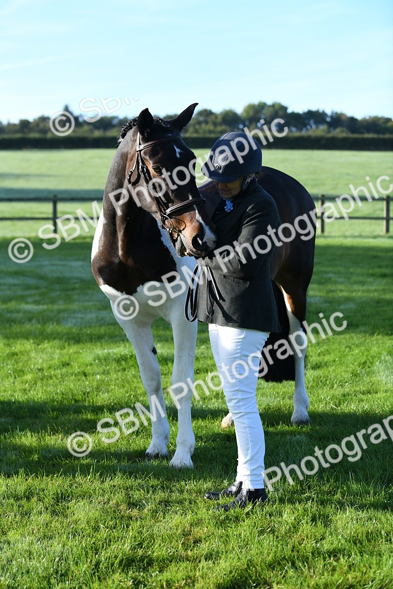 SBM_32802 - S15 - Condition & Turnout In Hand
