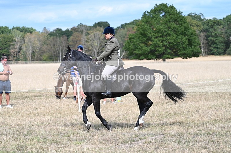 WJ7_6154 - Class 13 Ridden Veterans
