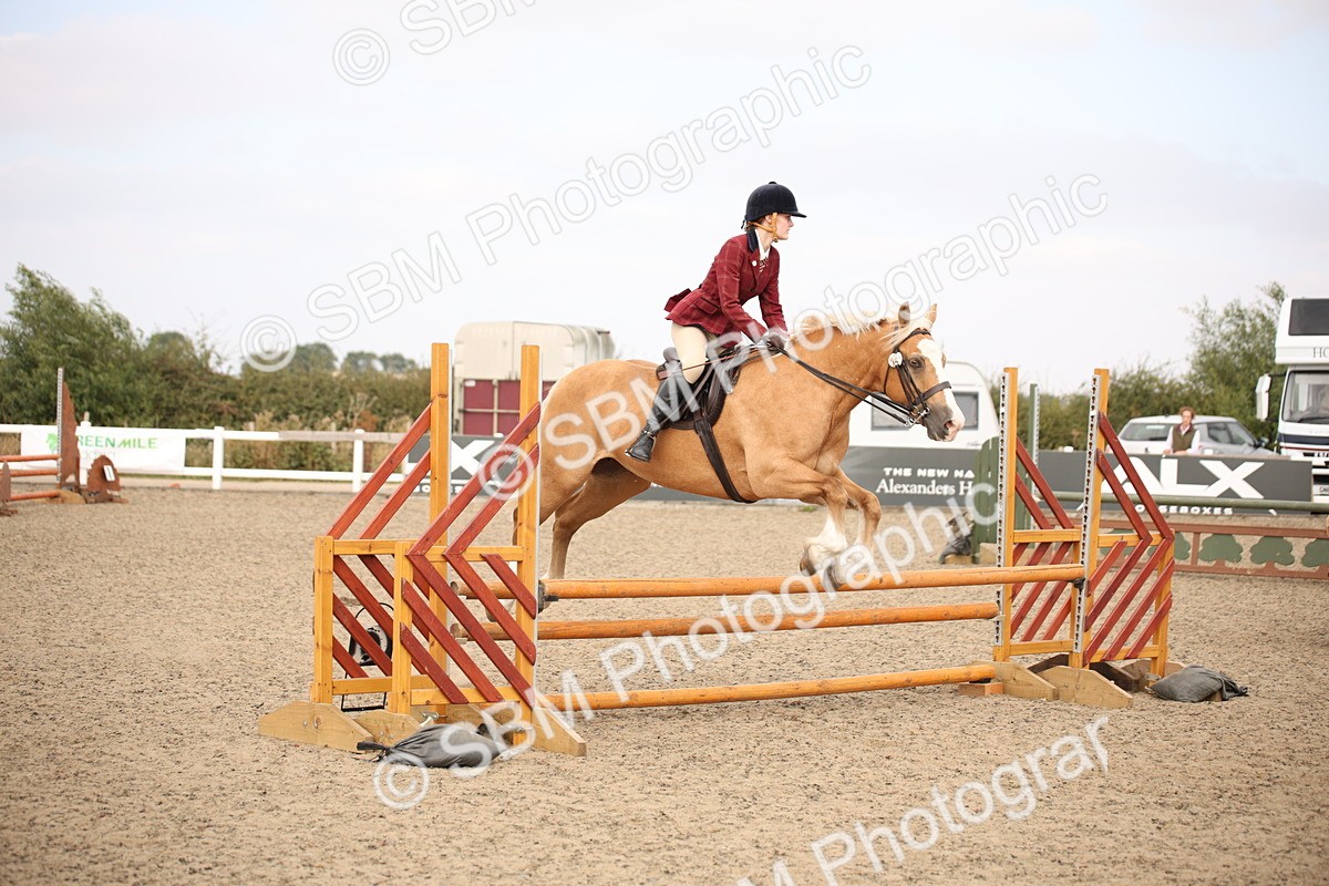 SBM_16208 - Class 409a - Working Veteran 80cm (15-19)