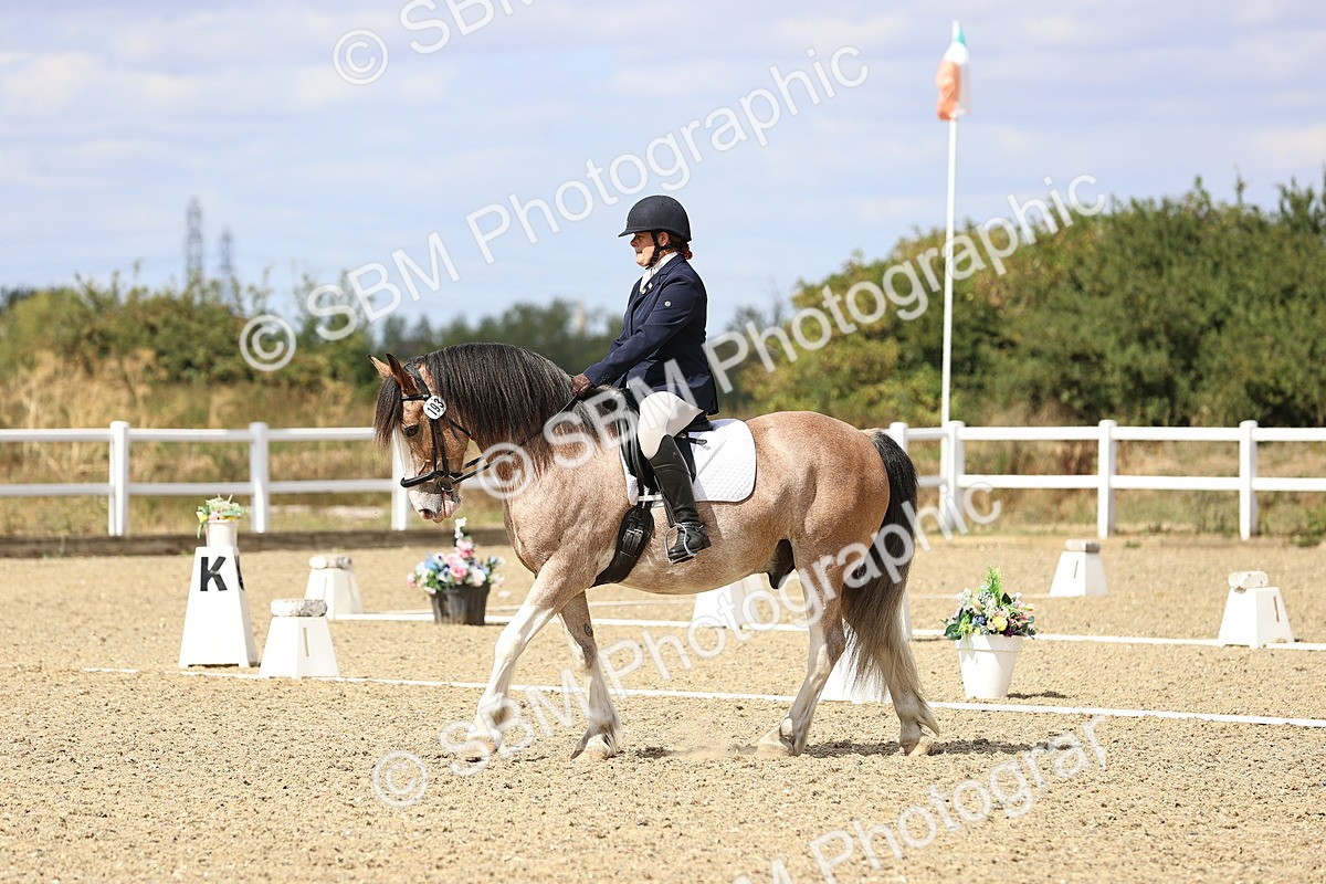 SBM_014564
