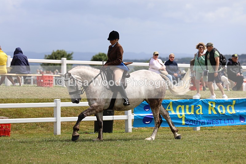 3E7A0232 - Class 6: Rising Star Maxi Cobs