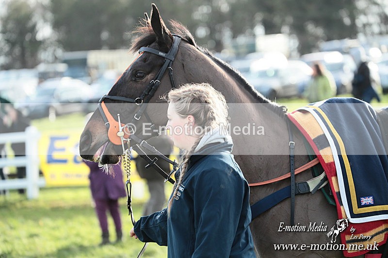 PtP 141225  1271 - New Forest Hounds PtP Larkhill 14/12/25