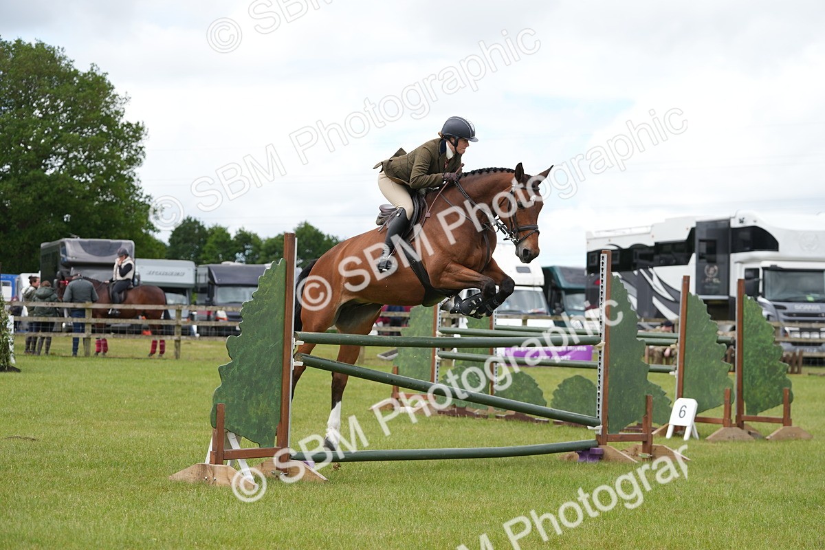 SBM_14957 - Class 100-102 - RIHS Working Hunter