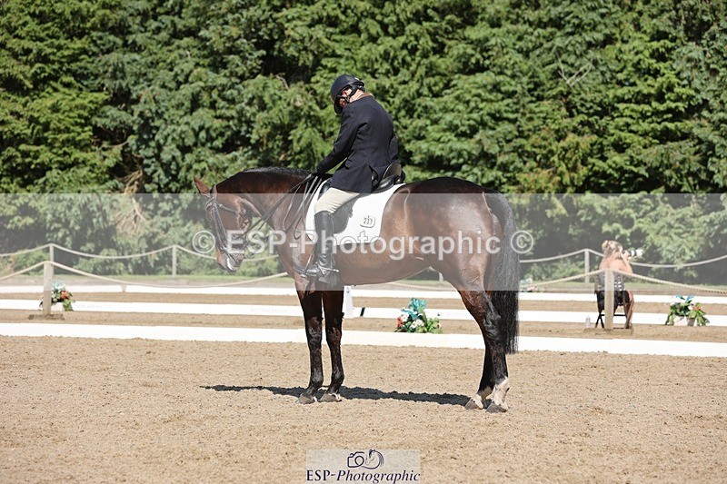 240719-160126-03013 - 237-Sue_Lanz-Wellshead_Foxtrot