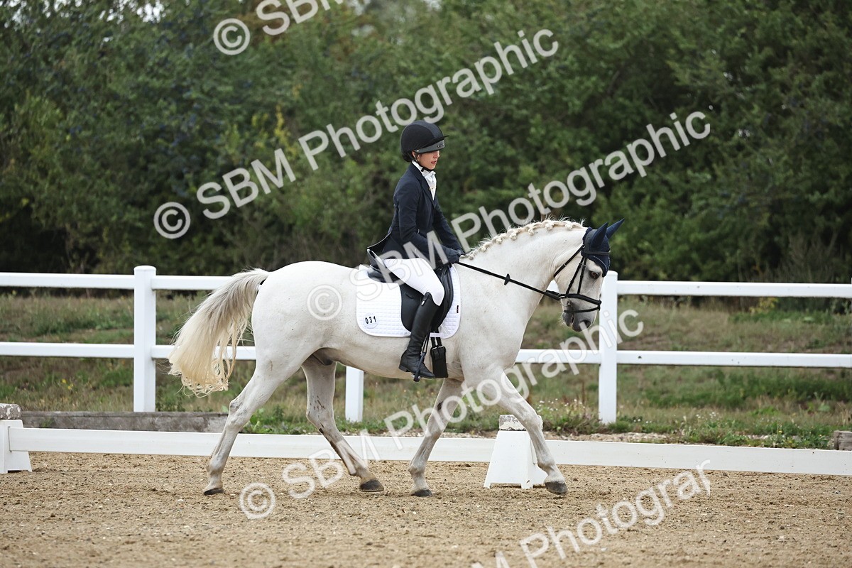 SBM_004234 - Class 8 - Novice 3 Champs
