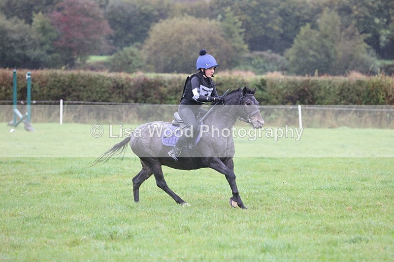 JPP_5160 - Class 1: 65cm : Showjumping