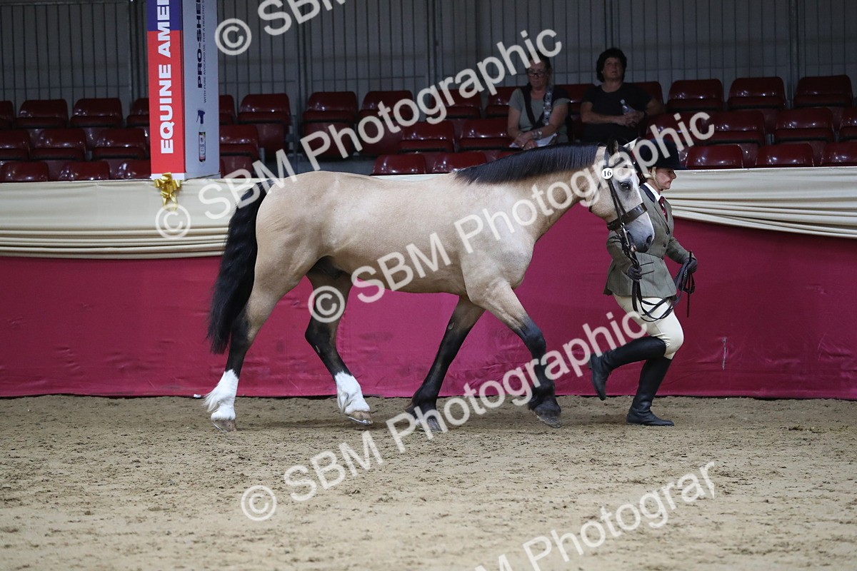 SBM_06316 - Class 9R Regional- IH Pre Vet