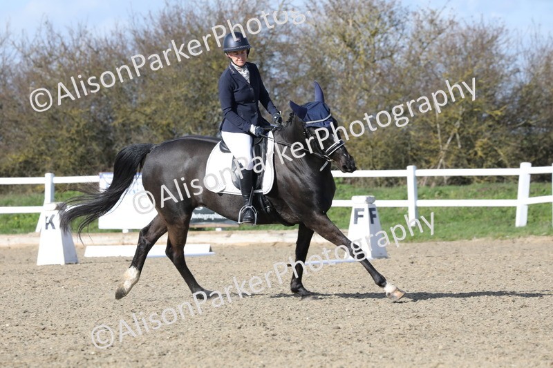 20260314-4975 - CT6 - Elementary 1