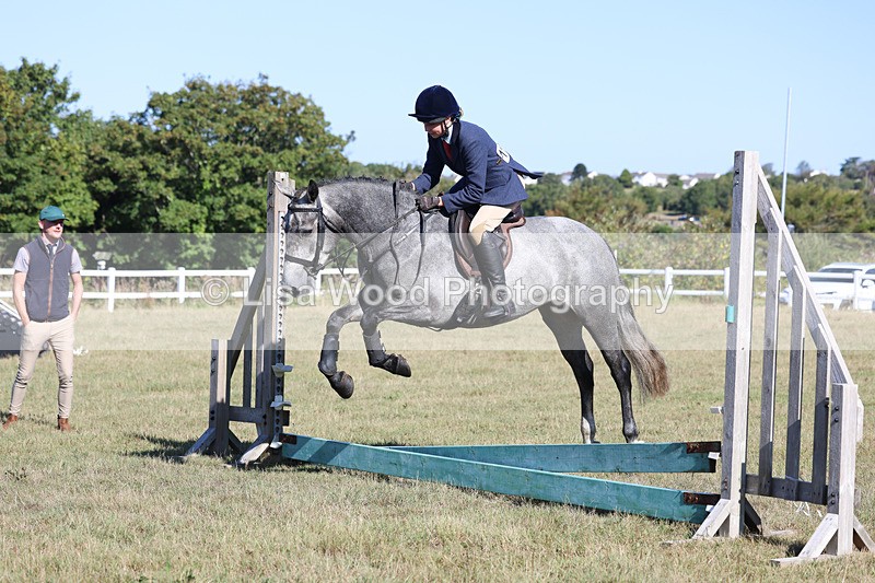 3E7A5457 - Class 3: Working Hunter 70cm