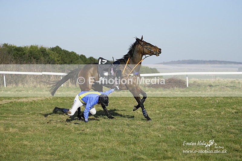 PtP 270222 381 - South & West Wilts Point-to-Point Larkhill 27/02/22