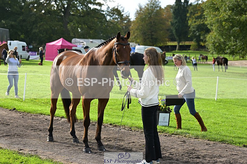 241023-131806-00191 - 011-Carla.Williamson-GOLDMAN