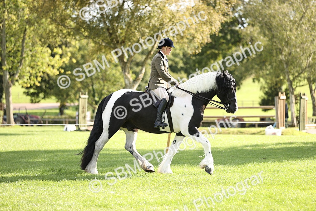 SBM_26369 - S6 - Novice & Newcomers Ridden Horse