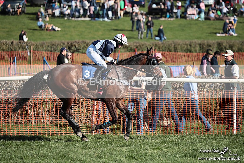 PtP 210326 655 - VWH Cirencester Races 21/03/26