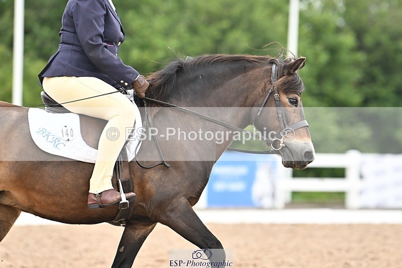 250705-175521-03990 - BRCP4 Sections BRCP4SNR, BRCP4JNR 13.50 to 14.53