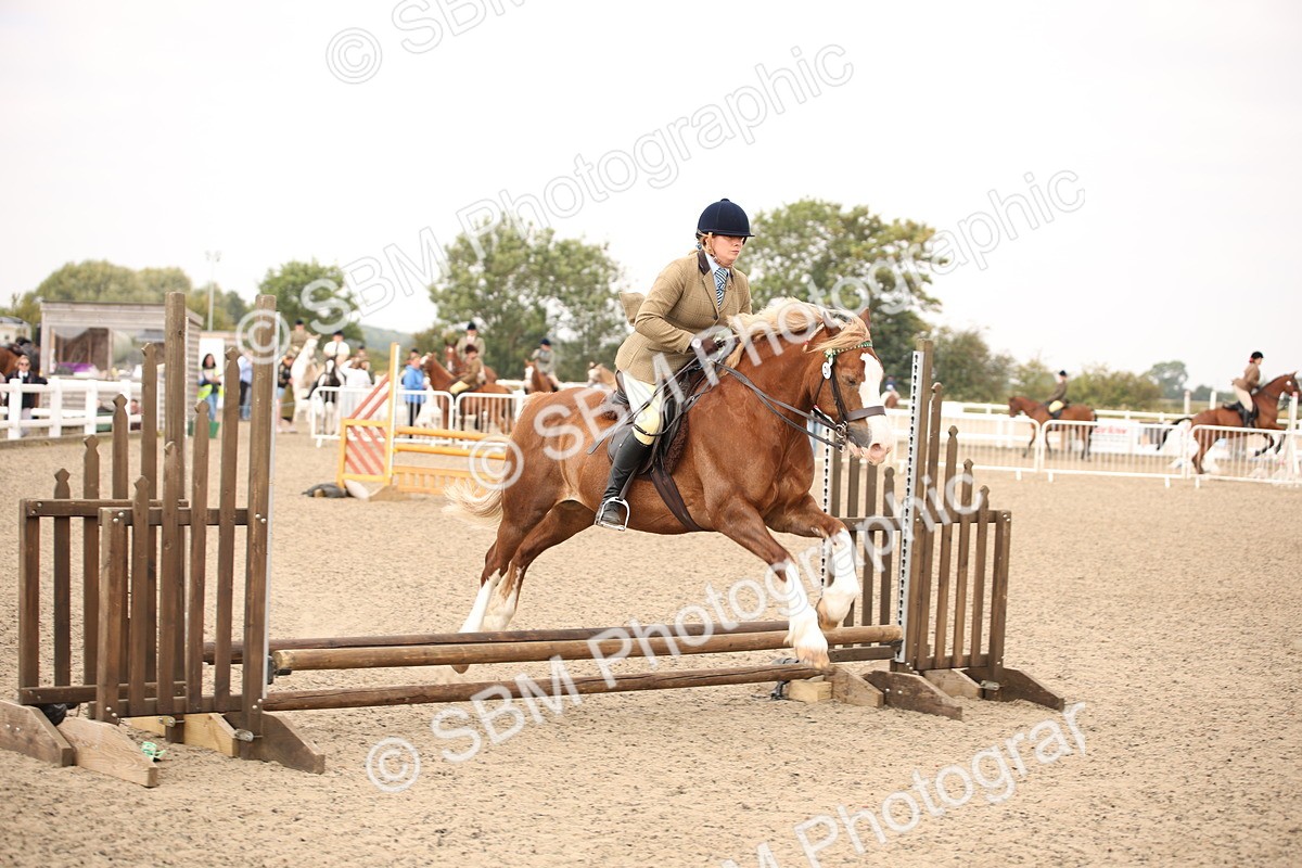 SBM_12602 - Class 405b - M&M Working Veteran 50cm 20+