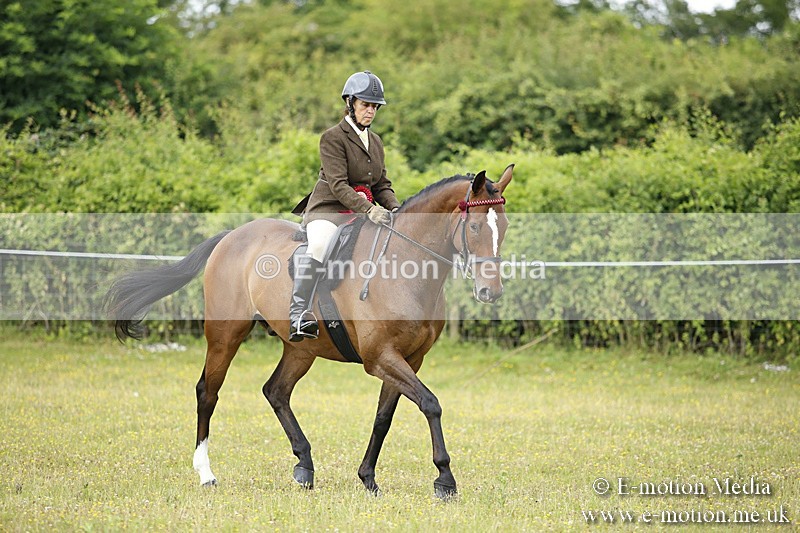 BVR160717-325 - Ring 1 BVRC Show 16/07/17