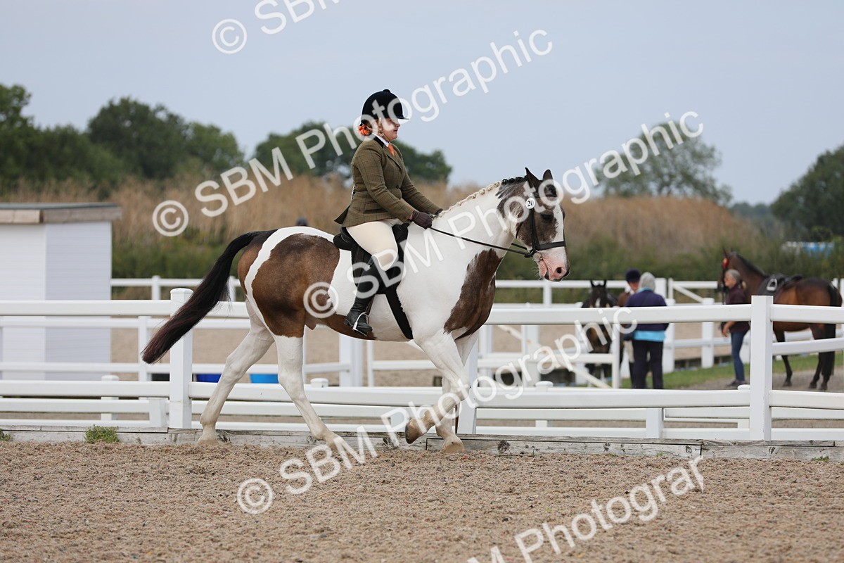 SBM_16846 - Class 314 Family Horse/Pony