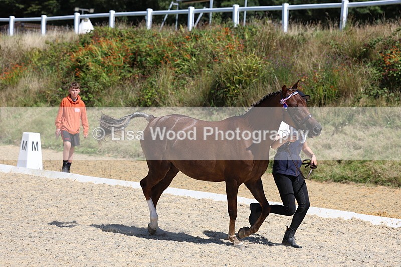 3E7A9583 - Class 32: Best Grass Kept