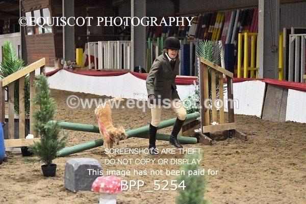 BPP_5254 - CLASS 5 HORSE AND HOUND