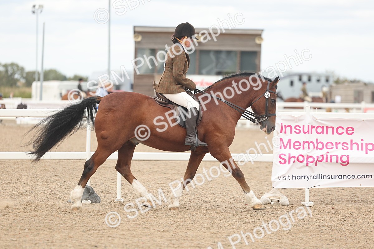 SBM_18157 - Class 315 - Best Horse-Rider Combination