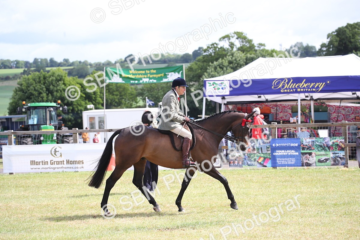 SBM_13229 - Class 95-96 - LIHS BSHA Rising Star Hack Riding Horse