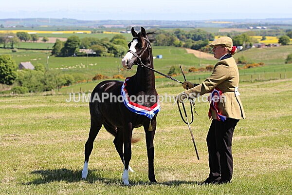 SIAL0451 - Indoor Classes