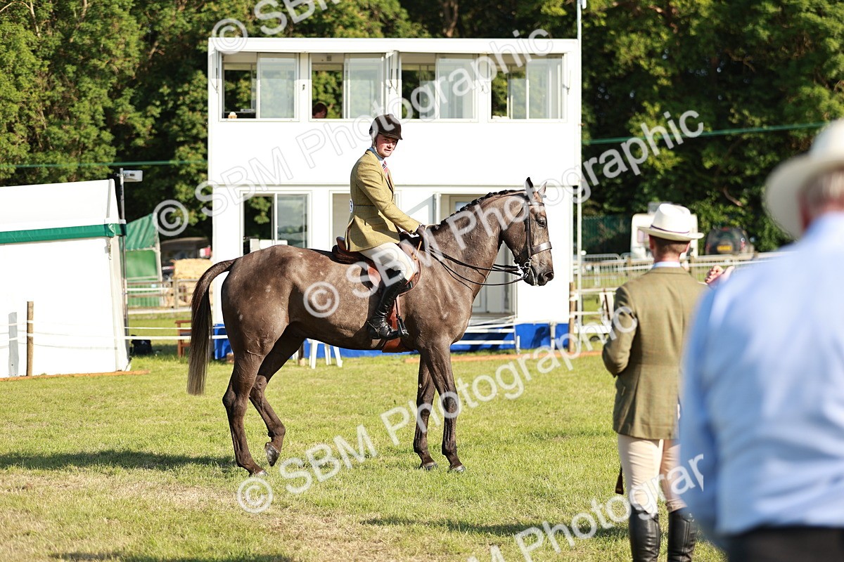 SBM_20162 - Class 117-119 - Sport Horse Working Hunter