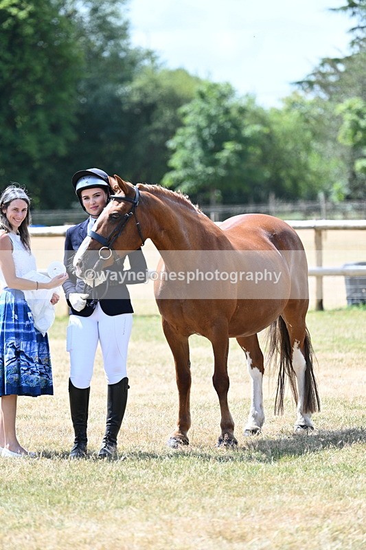 WJ7_2052 - Class 4a Prettiest Mare 14.2hh and over hand