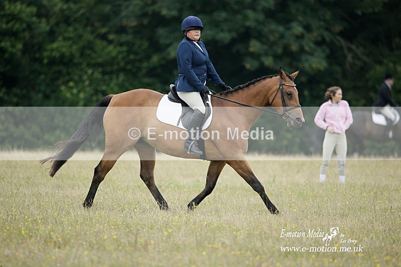 BVRC 030721 101 - Bourne Valley Riding Club Dressage 03/07/21