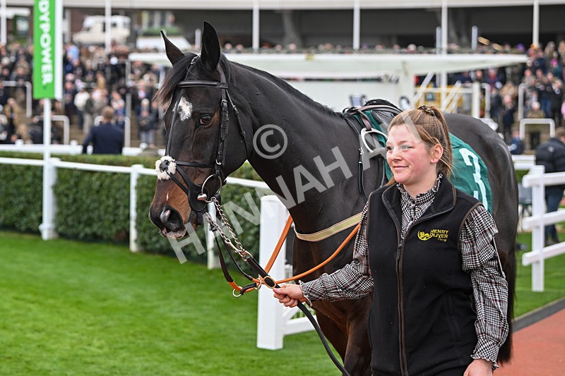 161124-Race 2-Paddock-Java Point-9337 - Race 2