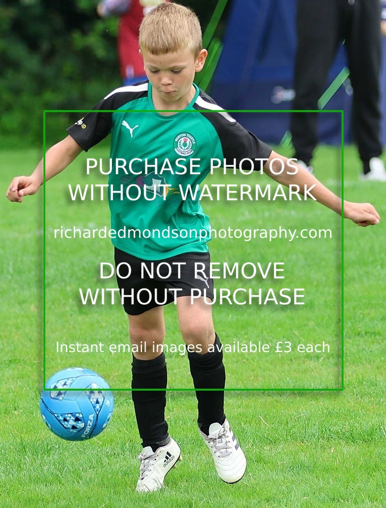 533A7936 - Burton Thistle
