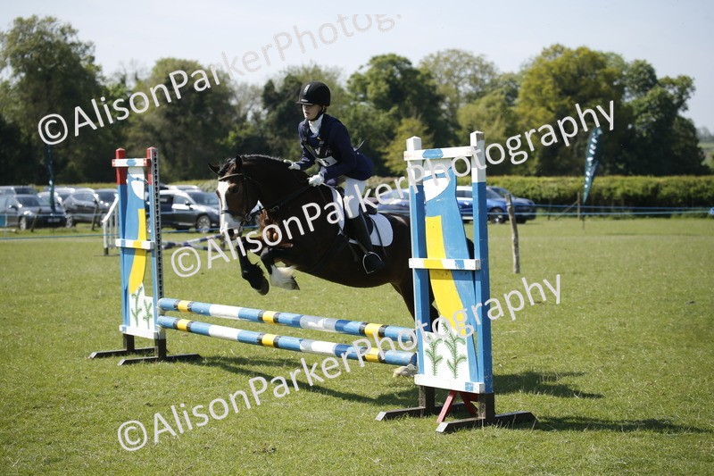 20250427-2140 - Class 13 - Novice Jumping 60cm