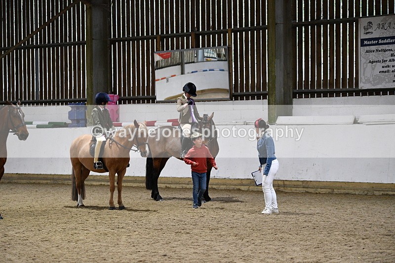 WJ5_8735 - Class 14 Novice Ridden/Rider