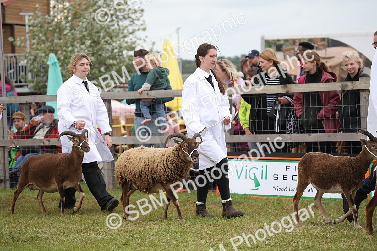 SBM_07791 - Grand Parade