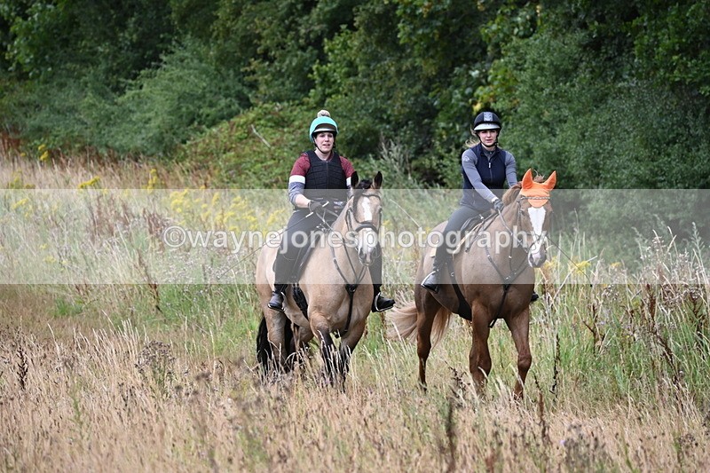 WJ6_2471 - Group 7