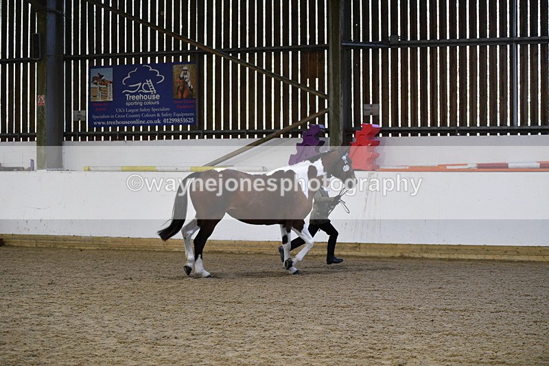 WJ5_3860 - Class 5 In Hand Veterans