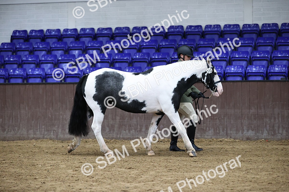 SBM_5607 - Class 40 - RESS In Hand Qualifier