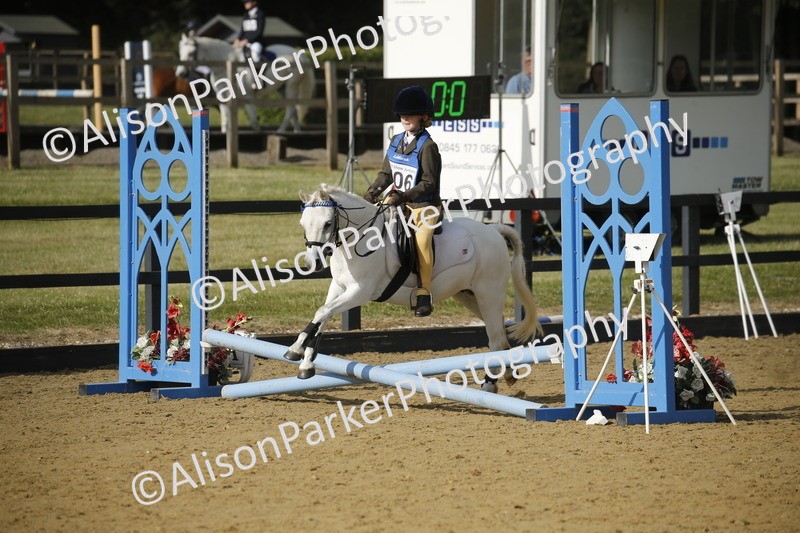 20250622-1216 - 40cm