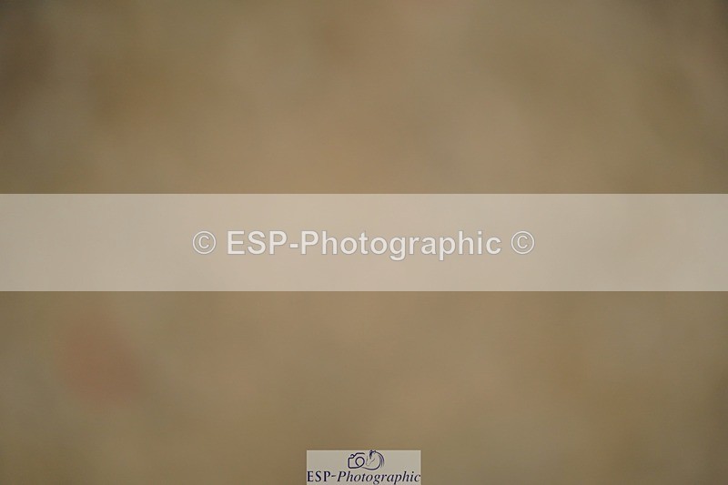 240309-103000-00018 - Cls 01 AE 70cm