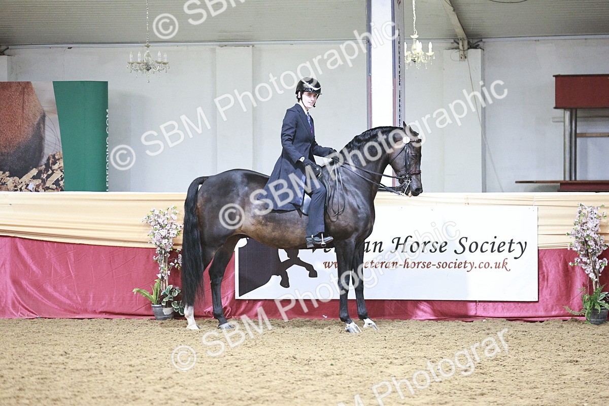 SBM_03371 - Class 6A Area Ridden Pre-Vet