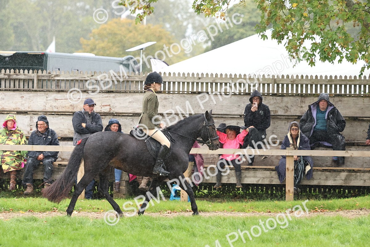 SBM_69709 - S62 - Mountain & Moorland Ridden Large Breeds