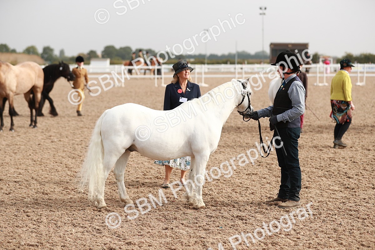 SBM_10550 - Class 204 Young Handler, 11-16 years