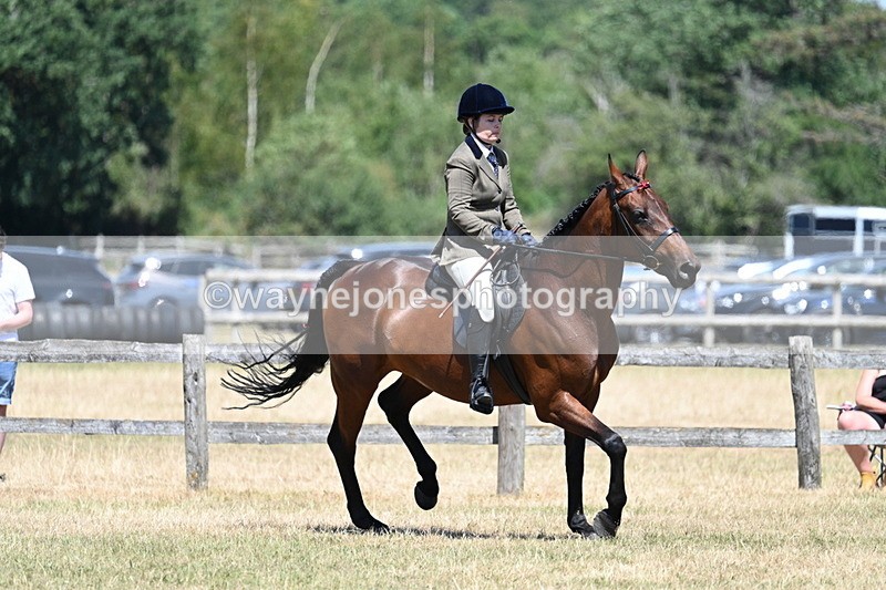 WJ7_3149 - Class 7 Riding Club Show Horse